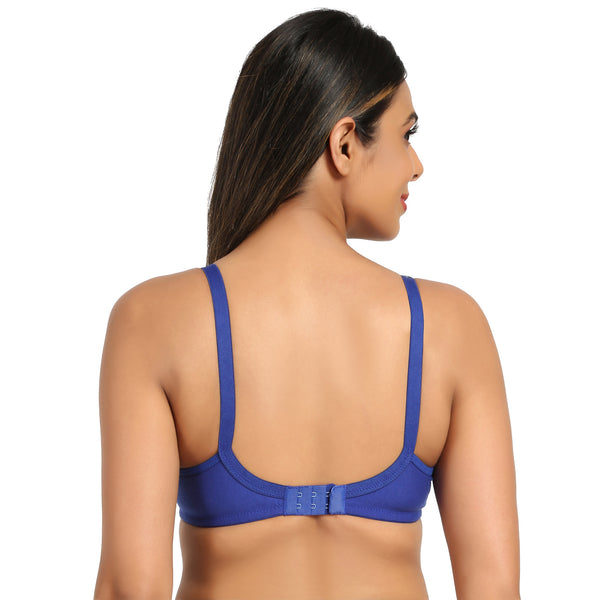 Buy Maternity and Nursing Bra Combo Pack Bruchi Club